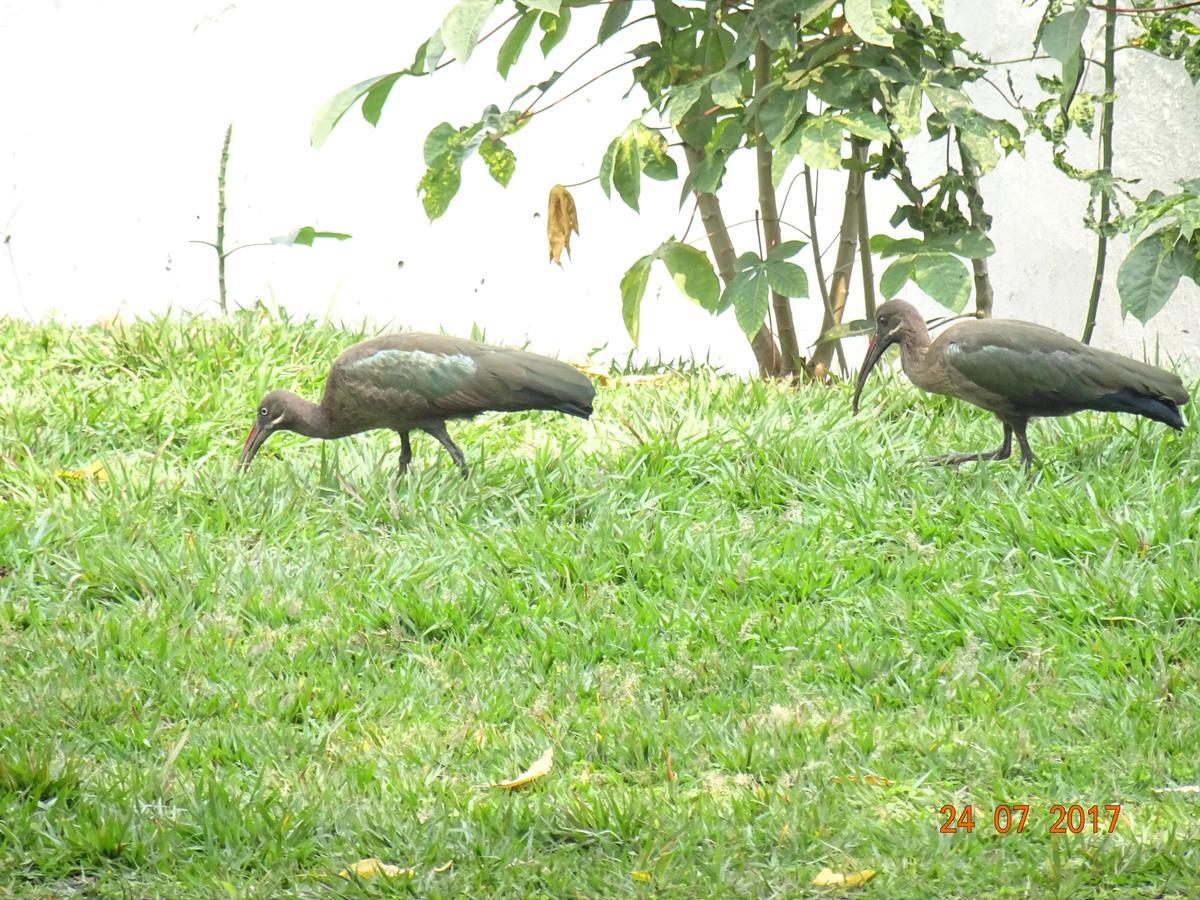 Kivu Beach Garden Gisenyi ภายนอก รูปภาพ