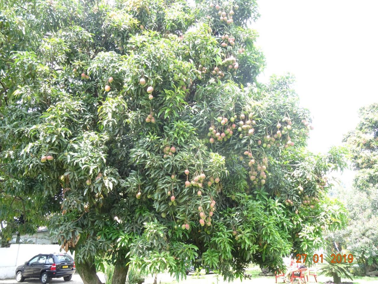 Kivu Beach Garden Gisenyi ภายนอก รูปภาพ